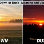 Dawn or Dusk