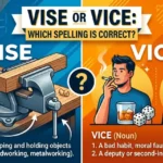 Vise or Vice