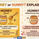 Honey or Hunny