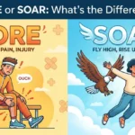 Sore or Soar